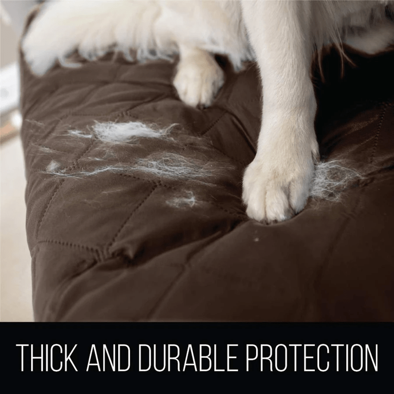 protect dog fur on sofa covers