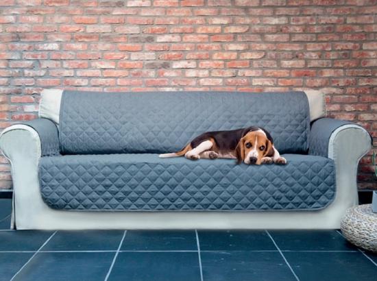 love seat pet dog sofa protectors